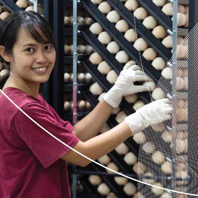 Vietnam Food Safety Project 