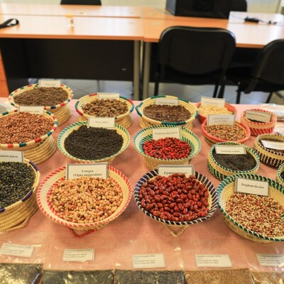 Celebrating 40th Anniversary of ILRI’s Forage Genebank 