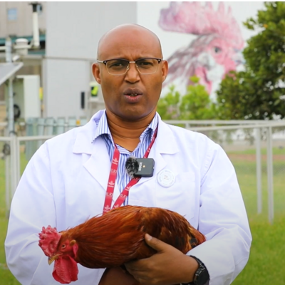 Tropical Poultry Genetic Solutions: Where science meets smallholder needs