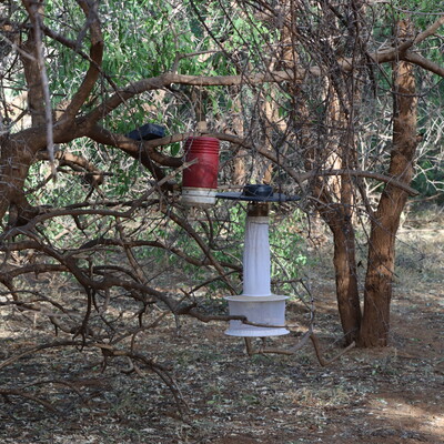CDC mosquito trap