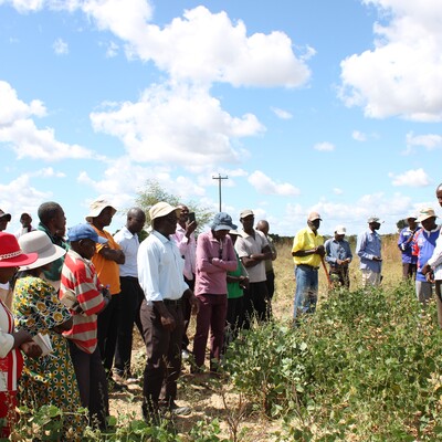 Farmers field day in Shamva District