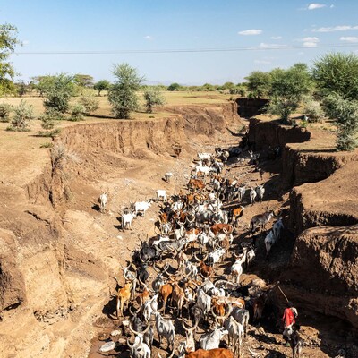 ESSA - Earth observation and environmental sensing for climate-smart sustainable agropastoral ecosystem transformation in East Africa