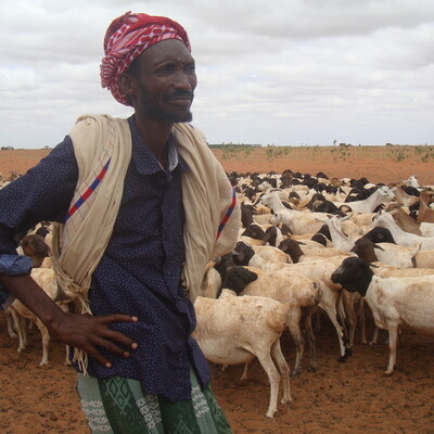 Boru Dabasso a livestock keeper from Burgabo Marsabit County